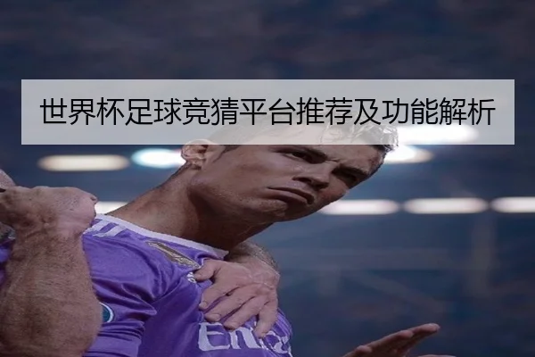 世界杯足球竞猜平台推荐及功能解析