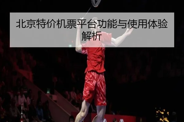 北京特价机票平台功能与使用体验解析