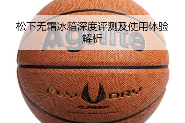 松下无霜冰箱深度评测及使用体验解析