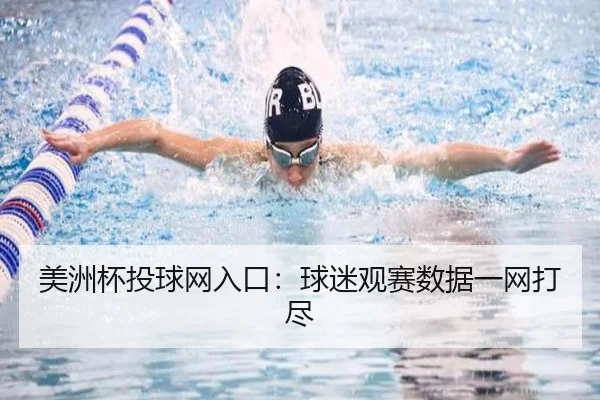 美洲杯投球网入口：球迷观赛数据一网打尽