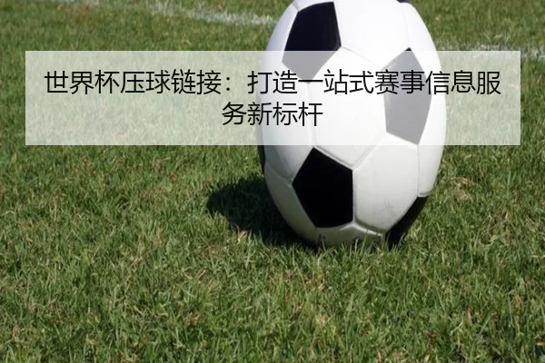 世界杯压球链接：打造一站式赛事信息服务新标杆